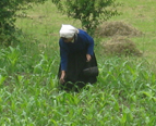 woman farming thethi albania