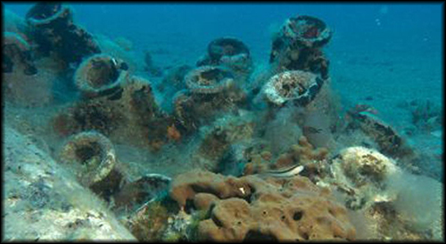scuba diving albania